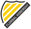 TJ Sokol Koberovy - Vosy